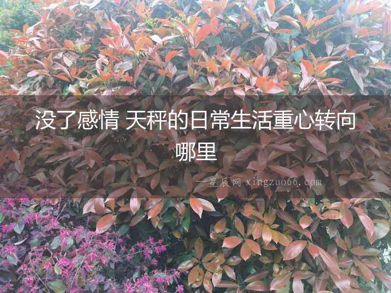 沒了感情 天秤的日常生活重心轉(zhuǎn)向哪里