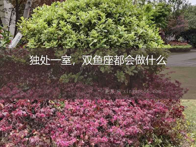 獨處一室，雙魚座都會做什么