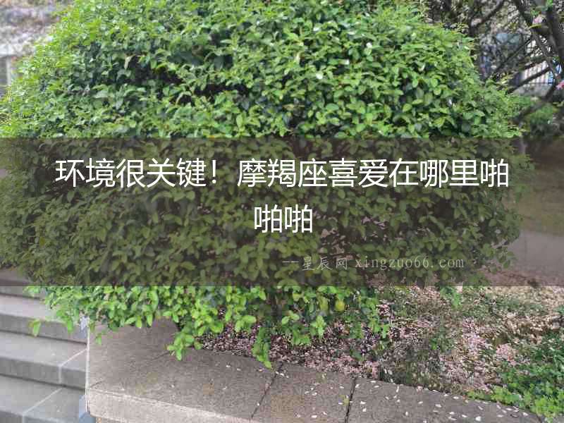 環境很關鍵！摩羯座喜愛在哪里啪啪啪