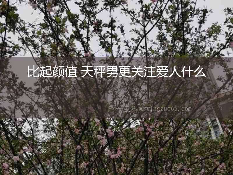 比起顏值 天秤男更關注愛人什么