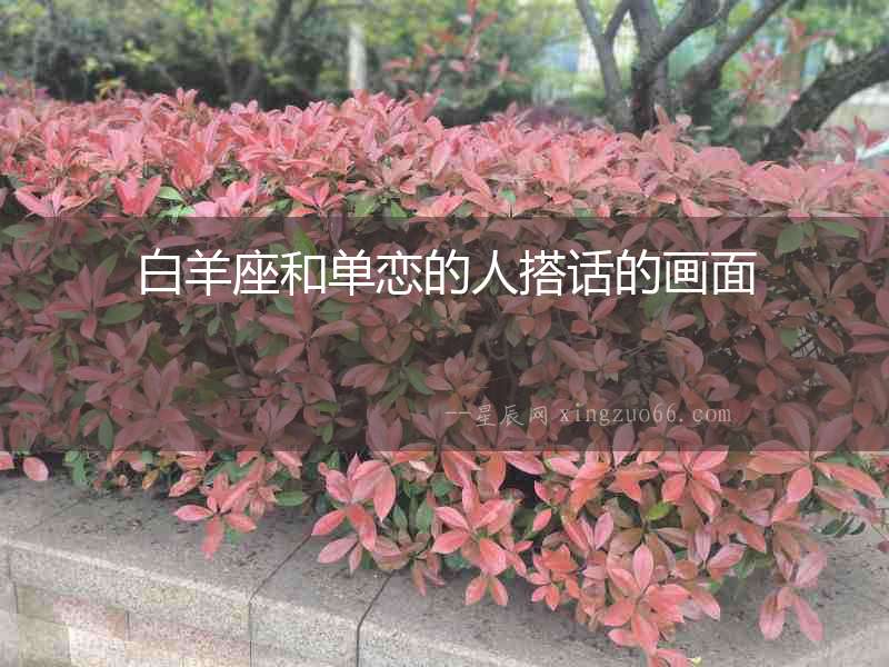 白羊座和單戀的人搭話的畫面