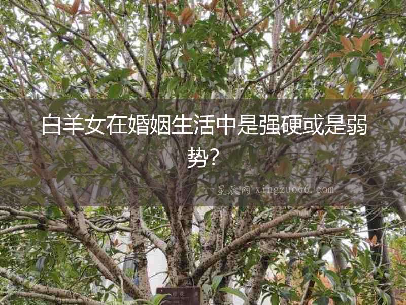 白羊女在婚姻生活中是強硬或是弱勢？