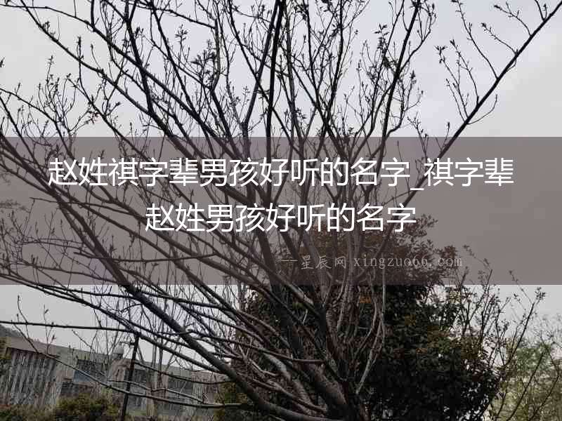 趙姓祺字輩男孩好聽(tīng)的名字_祺字輩趙姓男孩好聽(tīng)的名字