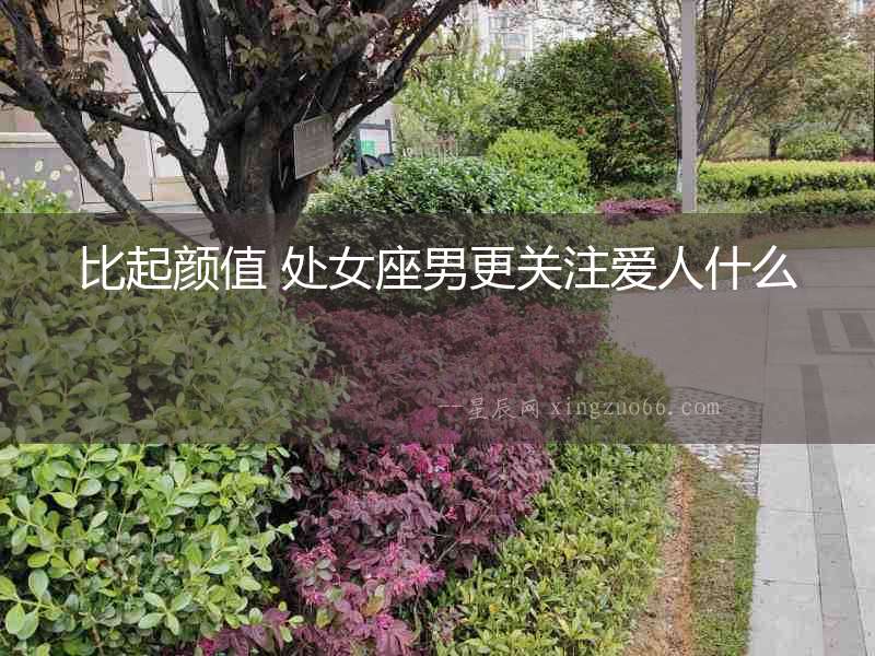 比起顏值 處女座男更關注愛人什么