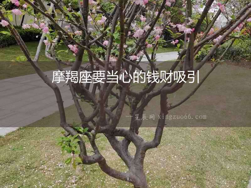摩羯座要當心的錢財吸引