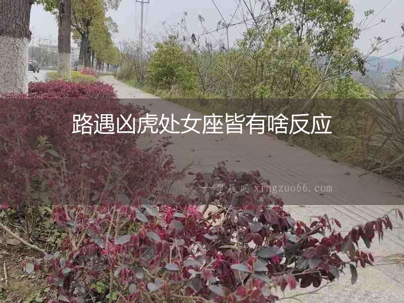 路遇兇虎處女座皆有啥反應