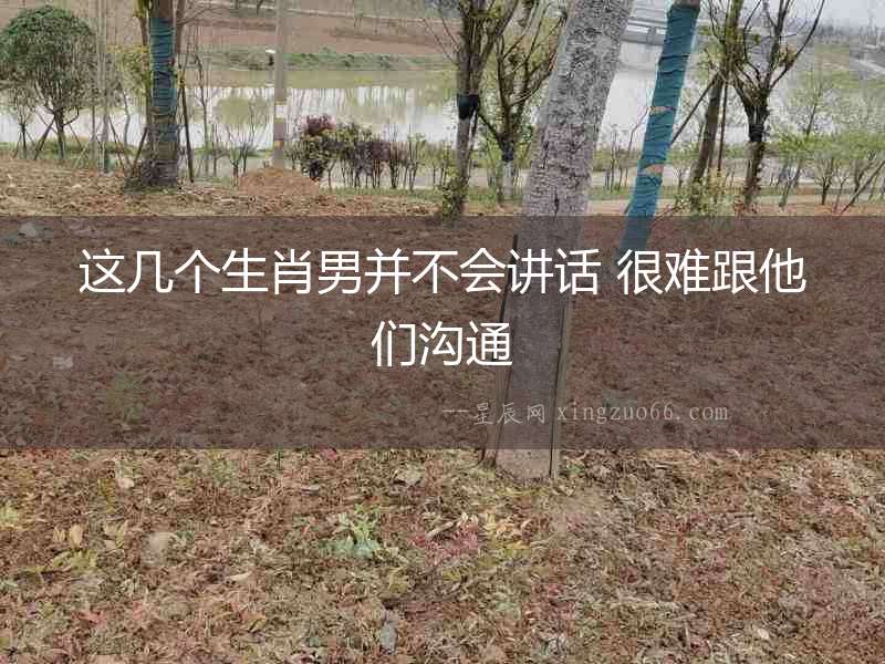這幾個生肖男并不會講話 很難跟他們溝通