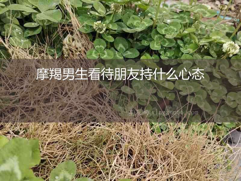 摩羯男生看待朋友持什么心態