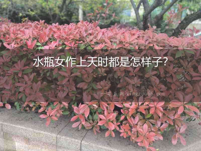 水瓶女作上天時都是怎樣子？