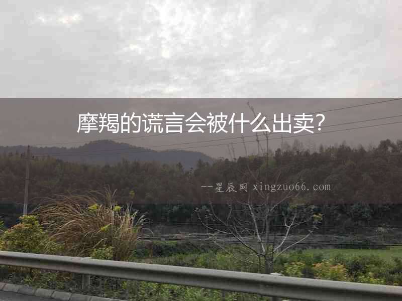 摩羯的謊言會被什么出賣？