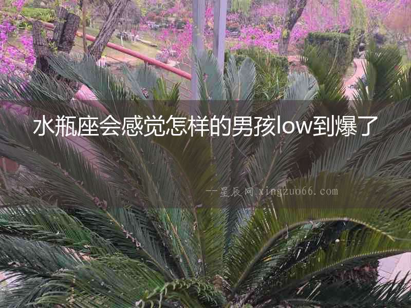 水瓶座會感覺怎樣的男孩low到爆了