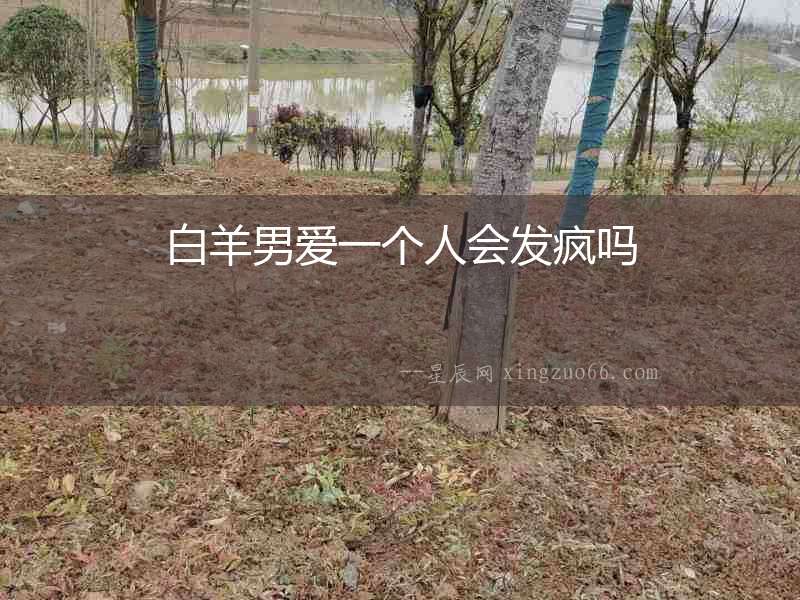 白羊男愛一個人會發(fā)瘋嗎