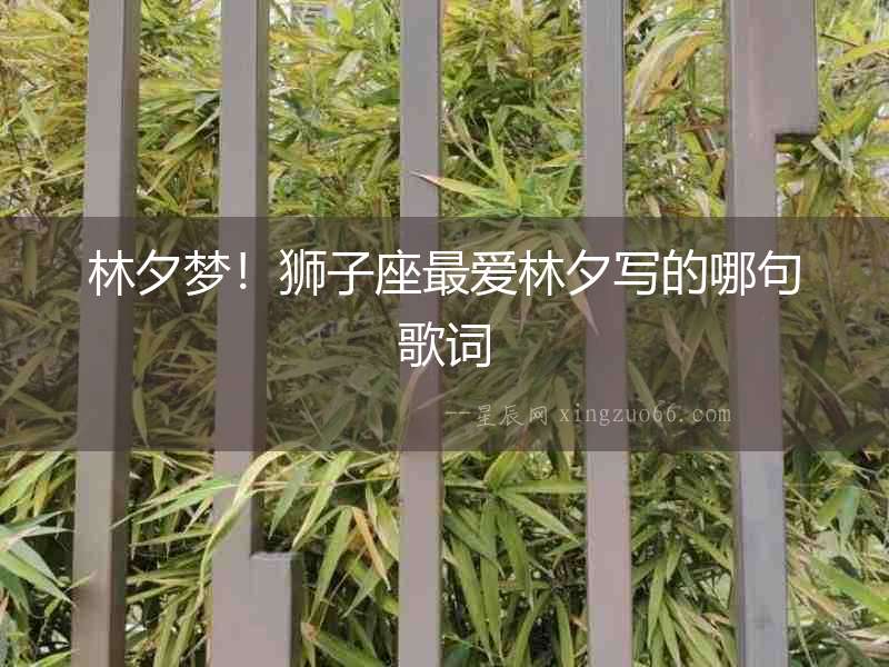 林夕夢(mèng)！獅子座最愛(ài)林夕寫的哪句歌詞