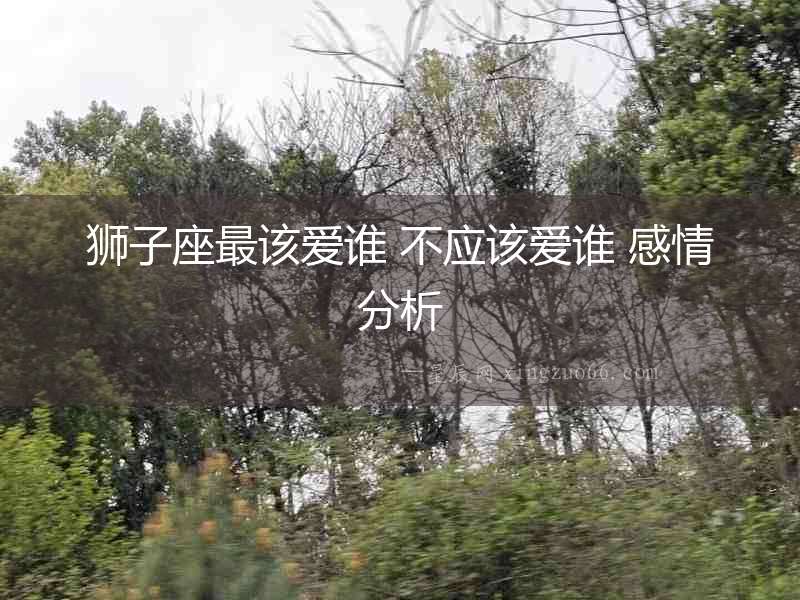 獅子座最該愛誰 不應該愛誰 感情分析