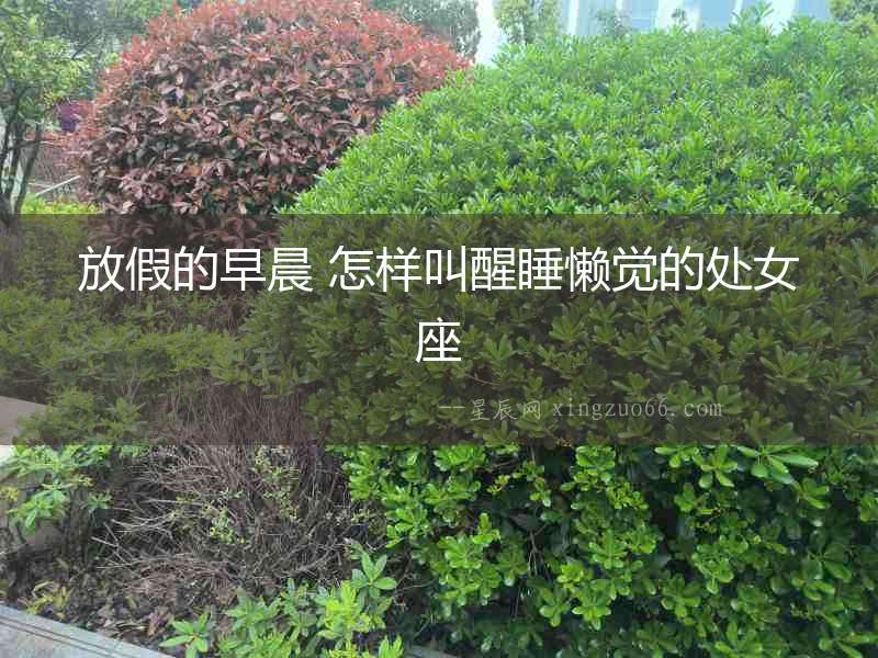 放假的早晨 怎樣叫醒睡懶覺的處女座