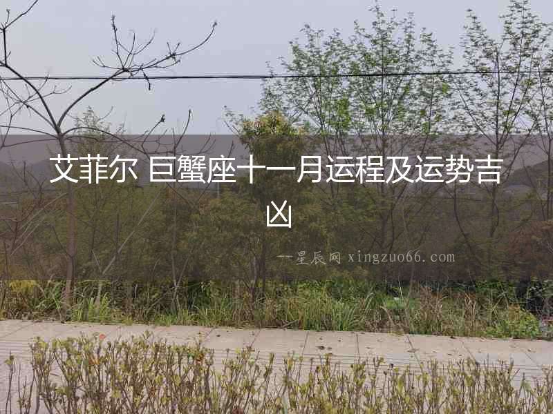 艾菲爾 巨蟹座十一月運程及運勢吉兇