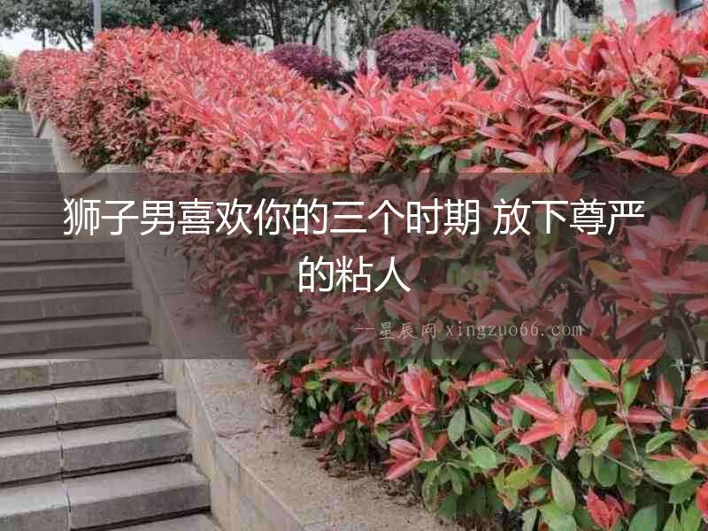 獅子男喜歡你的三個時期 放下尊嚴的粘人