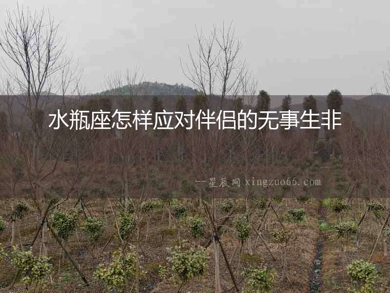 水瓶座怎樣應(yīng)對(duì)伴侶的無(wú)事生非