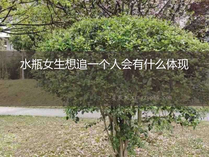 水瓶女生想追一個(gè)人會(huì)有什么體現(xiàn)