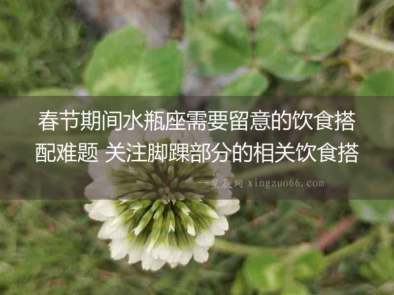 春節(jié)期間水瓶座需要留意的飲食搭配難題 關注腳踝部分的相關飲食搭配