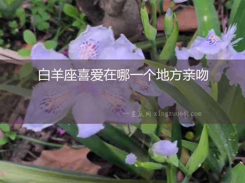 白羊座喜愛在哪一個地方親吻
