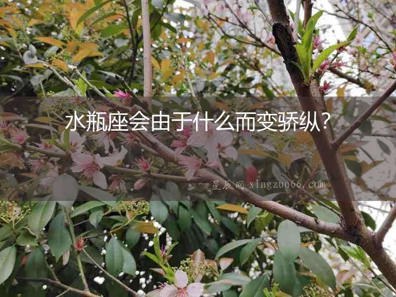 水瓶座會由于什么而變驕縱？
