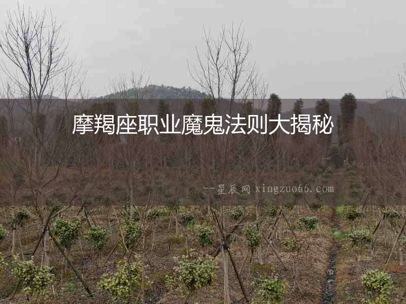 摩羯座職業魔鬼法則大揭秘