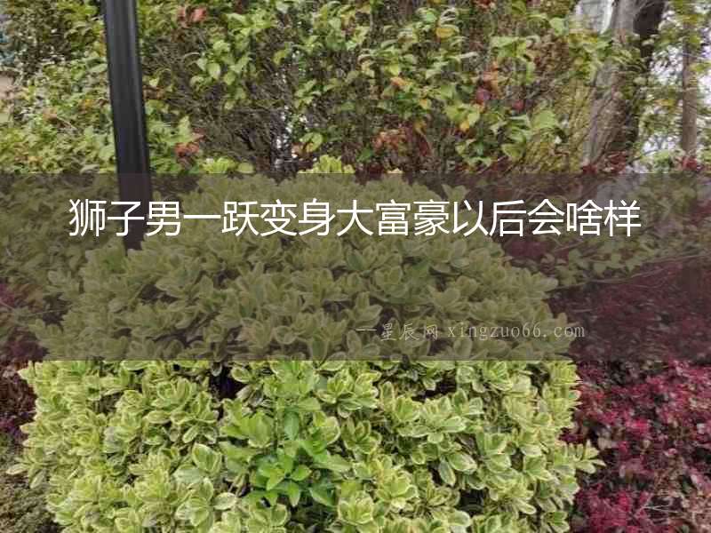 獅子男一躍變身大富豪以后會啥樣