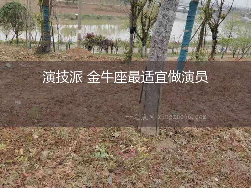 演技派 金牛座最適宜做演員