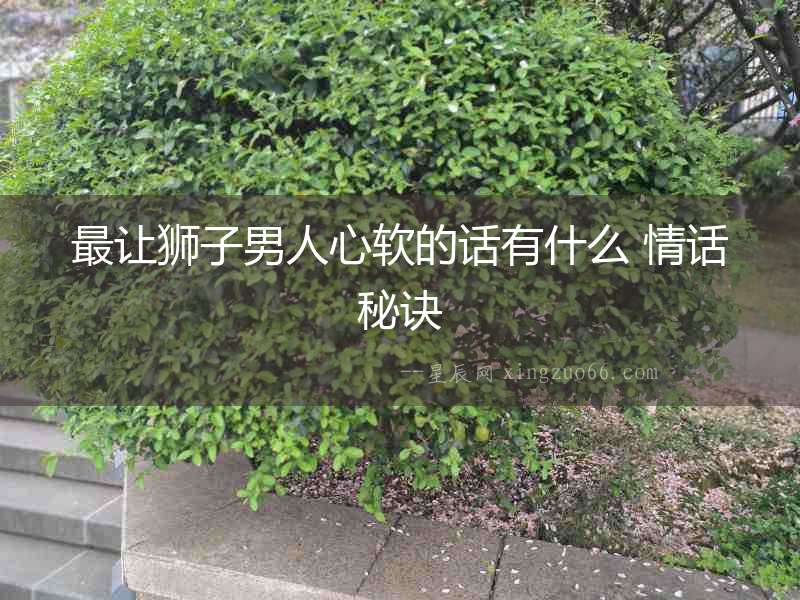 最讓獅子男人心軟的話有什么 情話秘訣