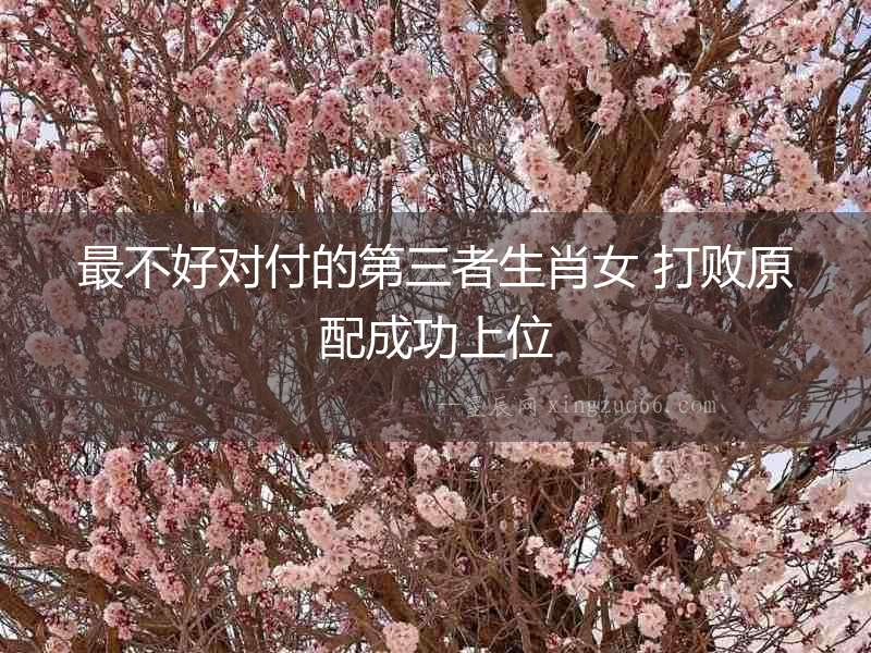 最不好對付的第三者生肖女 打敗原配成功上位