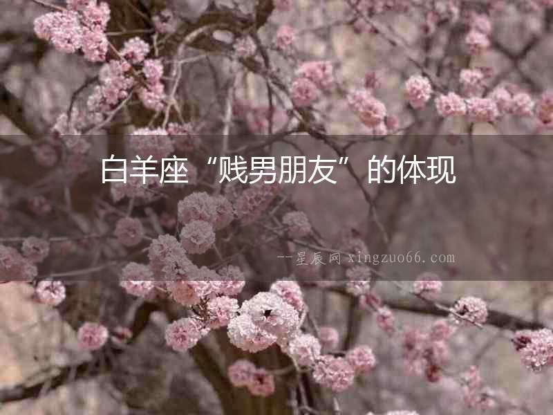 白羊座“賤男朋友”的體現(xiàn)