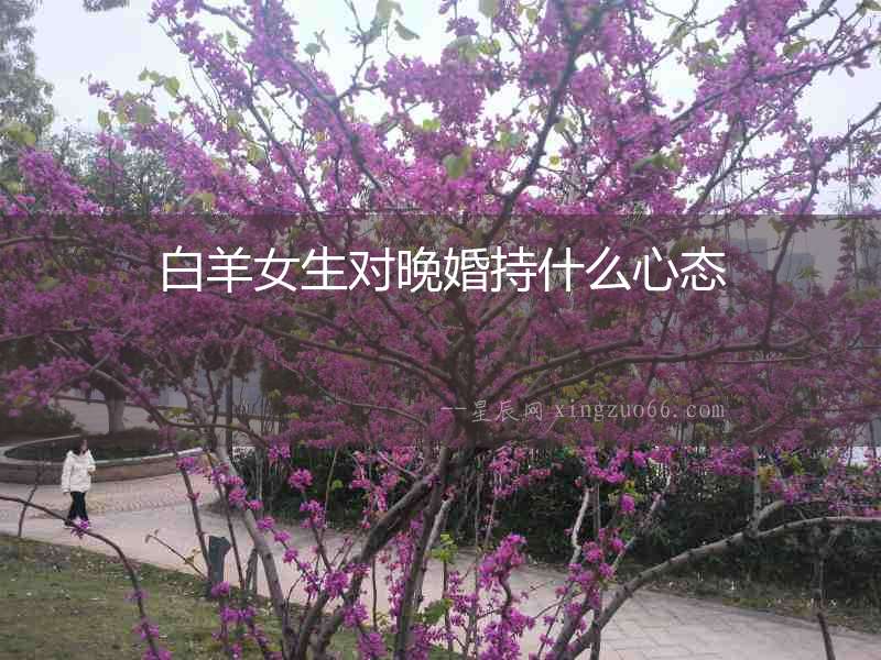 白羊女生對晚婚持什么心態(tài)
