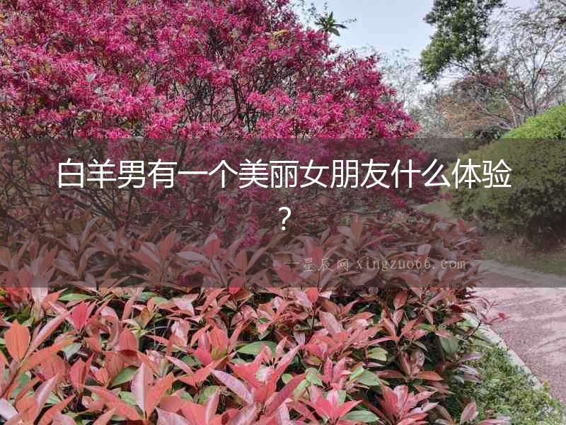 白羊男有一個(gè)美麗女朋友什么體驗(yàn)？