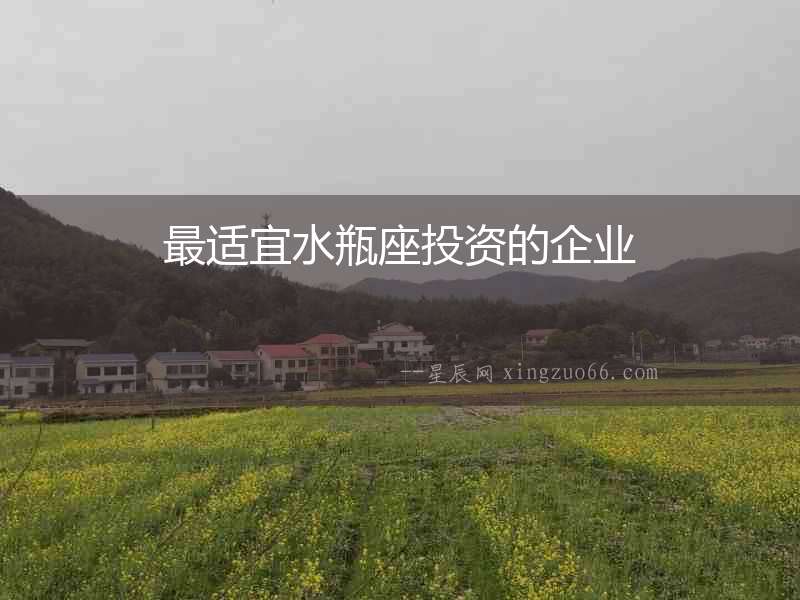 最適宜水瓶座投資的企業