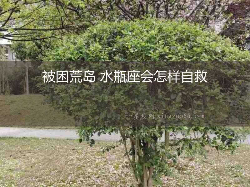 被困荒島 水瓶座會(huì)怎樣自救