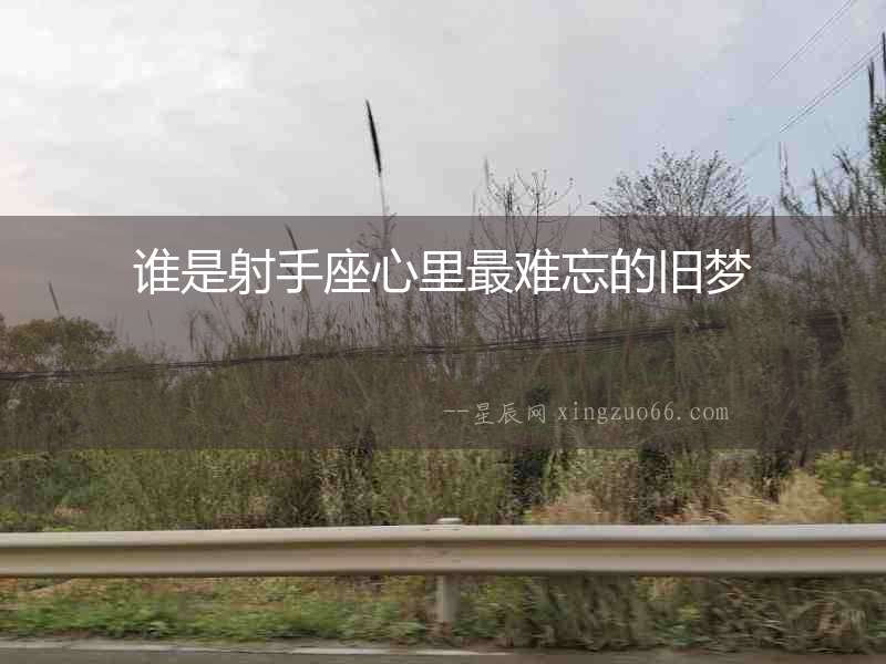 誰是射手座心里最難忘的舊夢
