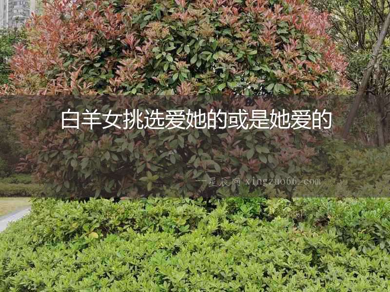 白羊女挑選愛(ài)她的或是她愛(ài)的