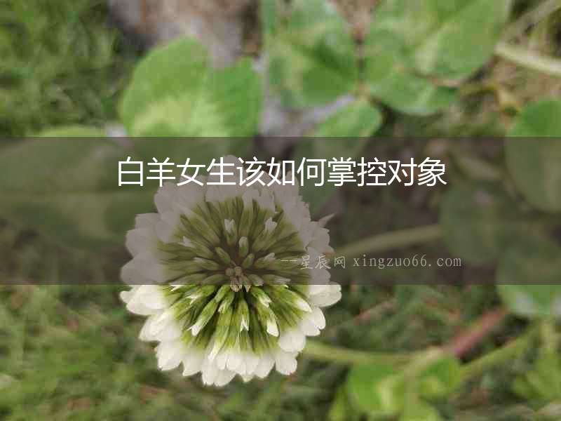 白羊女生該如何掌控對象