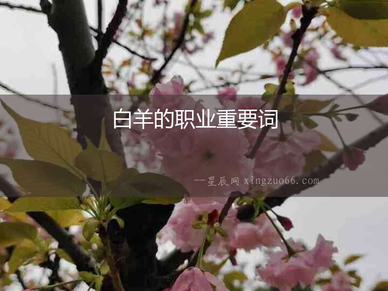 白羊的職業重要詞