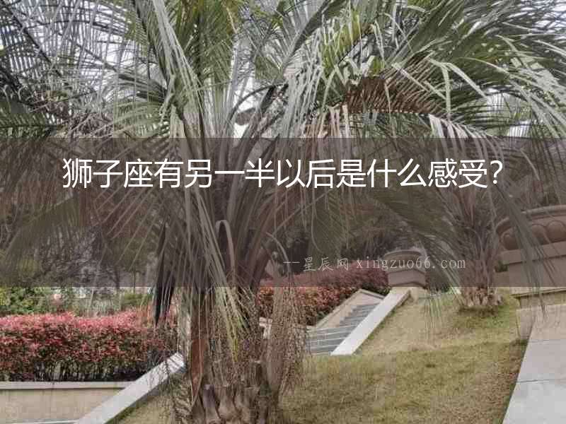 獅子座有另一半以后是什么感受？
