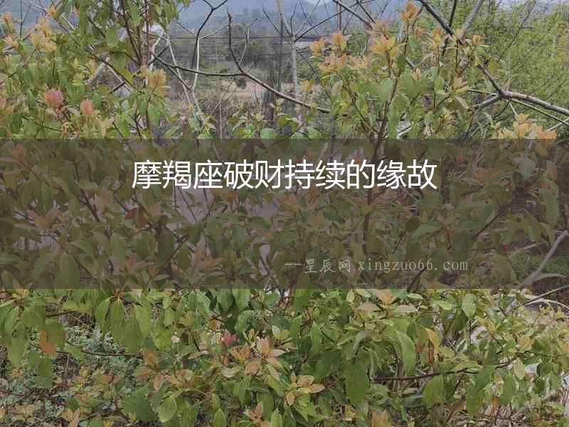 摩羯座破財持續的緣故