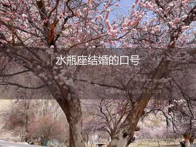 水瓶座結(jié)婚的口號