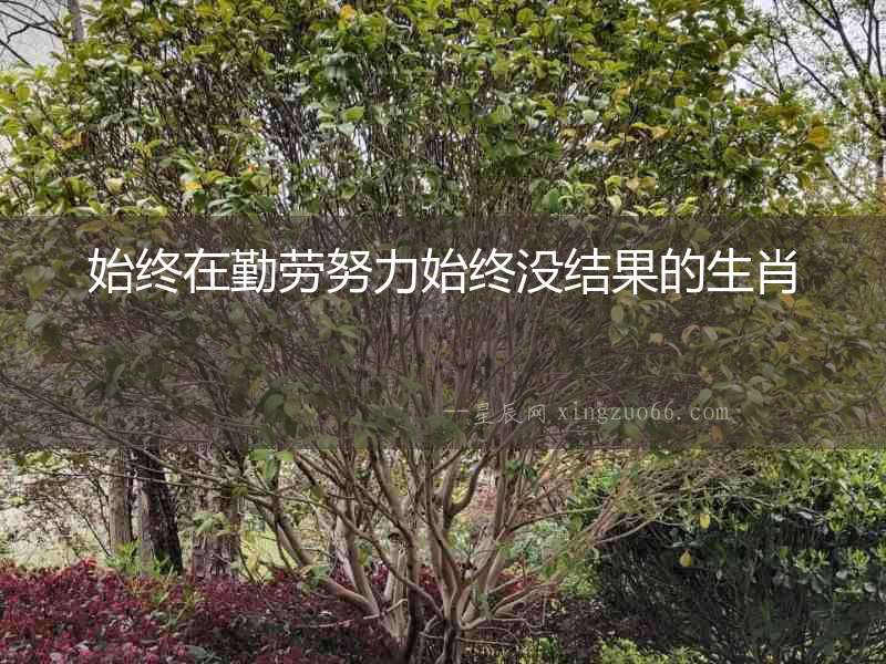 始終在勤勞努力始終沒結果的生肖
