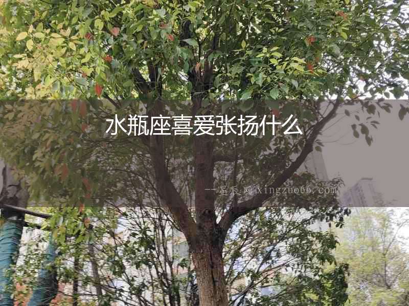 水瓶座喜愛張揚(yáng)什么