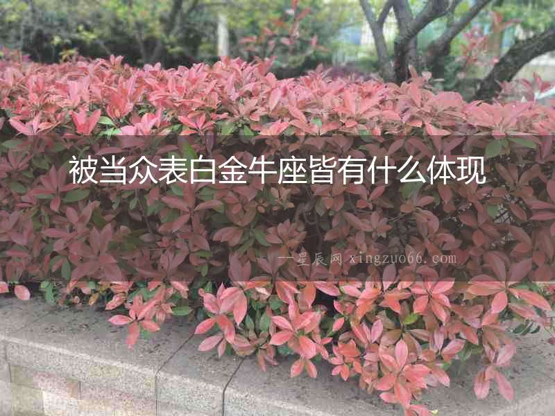 被當眾表白金牛座皆有什么體現
