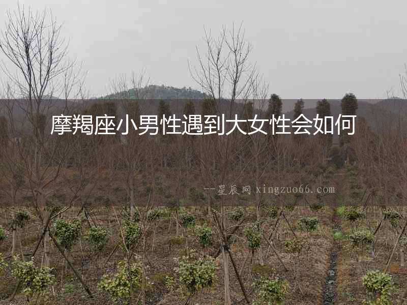 摩羯座小男性遇到大女性會如何