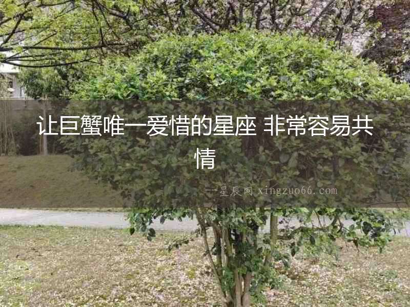 讓巨蟹唯一愛惜的星座 非常容易共情
