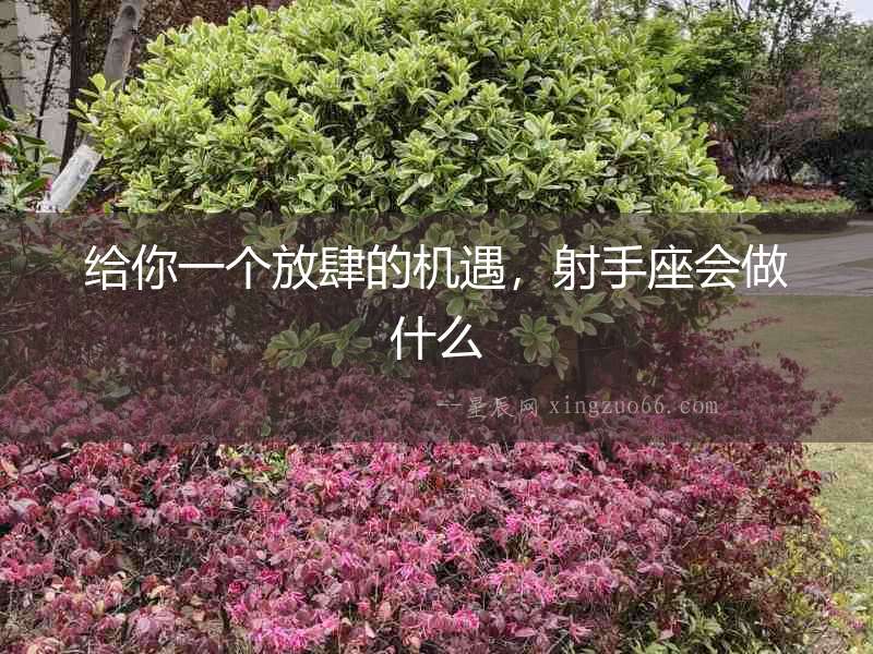 給你一個(gè)放肆的機(jī)遇，射手座會(huì)做什么