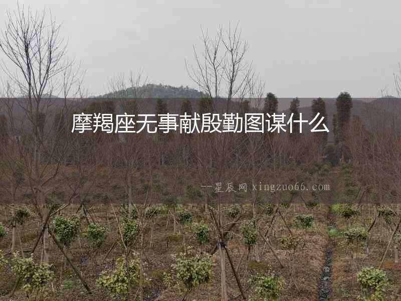 摩羯座無事獻(xiàn)殷勤圖謀什么